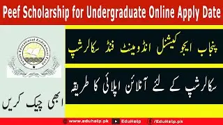 Peef Scholarship 2022 for Undergraduate Online Apply Date