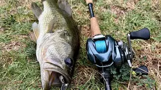 Los Angeles fishing (el dorado park)