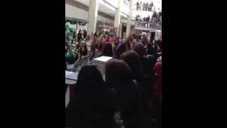 Sunrise mall flash mob march 9