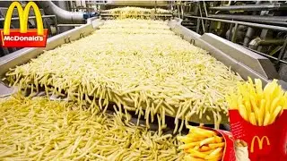 How McDonald's French Fries Are Made | French Fries Factory tour