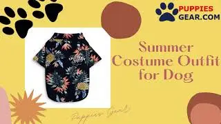 Summer Costume Outfit for Dog | Dog Clothes
