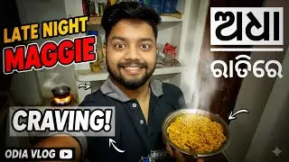  ଅଧା ରାତିରେ Maggie 🤪Odia Vlogs Alok Panda Vlogs