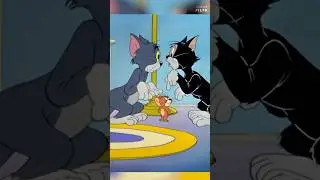 Tom and jerry 🐭😺✅tomandjerry #jerry #tom #animation #shorts