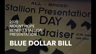Blue Dollar Bill, Blue Roan Percheron Stallion | Mount Hope Stallion Presentation 2025