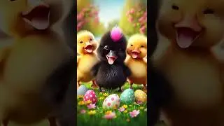 3 CUTE LITTLE BABY DUCKS