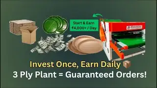 3 Ply Mini Box & Buffey Sheet Plant | Daily Demand Packaging Setup - No Experience Needed!