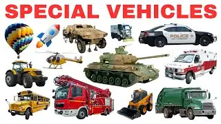 SPECIAL VEHICLES | Learn Vehicle Names for Kids | Fun Educational Video for Children!