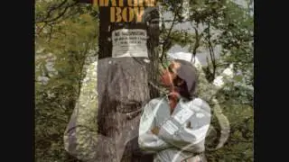 JOE BECK -  Nature boy