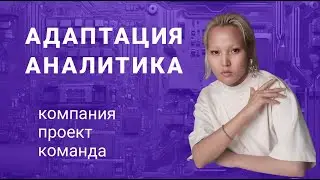 БА: Как аналитику адаптироваться на новом месте