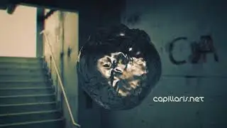Capillaris