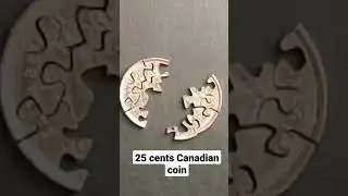World's Smallest Coin  Puzzle