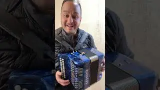 (Vendido ) Acordeon Leticce 8 Baixos / Do Sol