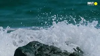 We Need To Look After Our Oceans &ndash; Here's How We Can