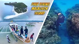 First Time Diving Malalison Island Culasi, Antique
