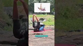 Animal inspired yoga poses #yoga #yogaskills #yogainspiration #yogae #trendingshorts #fit_in_asanas