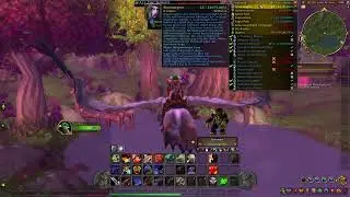 Collecting All The Things In WoW Part 30 - 100% Complete Teldrassil Quests (Night Elf Starting Area)