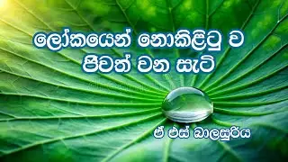 Living the pure life untouched by the world. ලොකයෙන් නොකිලිටුව ජීවත්වීම
