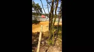 2stroke amc genk riding fast and jumps high