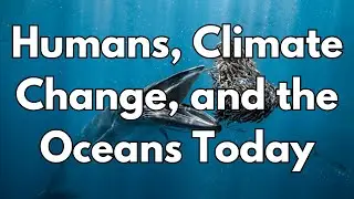 Humans, Climate Change, and the Oceans Today