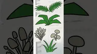 Making More Plants for Level one of my hand-drawn Indie Platformer! 🎮