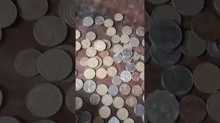 Mera coin collection