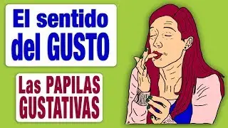 Sentido del Gusto (IV) - Las Papilas Gustativas