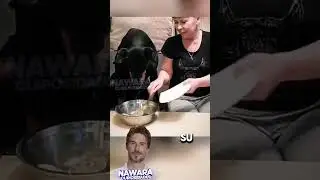 Perro comparte su comida. Increible momento.