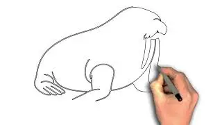 Walrus drawing image step by step &ldquo;Walrus with Stoic Gaze &ndash; Single Line Majesty&rdquo;