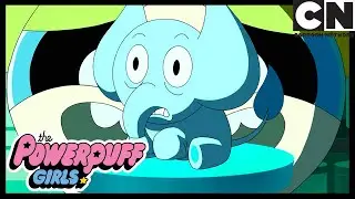 Atom&oacute;wki | Historia siostry | Patricia Kazadi | Bliss 💜 | Cartoon Network