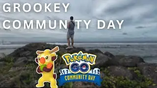 Grookey Community Day Vlog | Pokemon Go Gameplay & Shiny Hunting
