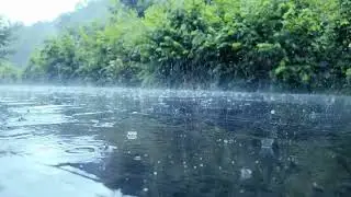 Rainfall Meditation: Moments of tranquility