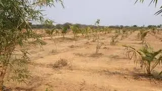 FARMPLOTS ||KCR FARMHOUSE || KONDA POCHAMMA || SHAMIRPET HIGHWAY