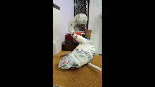 Ganpati Peacock decoration