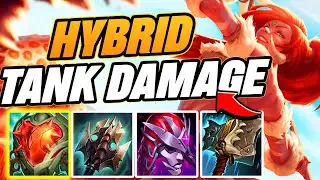 NIDALEE TOP BUT IM THE BIGGEST CAT EVER, HYBRID BUILD!