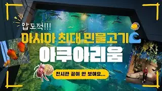 🔥 아시아 최대 규모 민물고기 수족관! 단양 다누리 아쿠아리움 완벽 해부 #국내여행