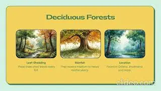 Social studies -chapter14:Natural vegetation.Class 5