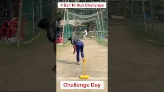Hit and take Rs 500 #cricket #shortsfeed #viral #short