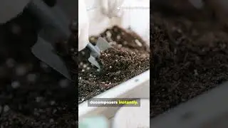 The Secret Layer That Makes Compost Twice as Fast