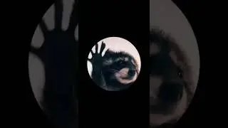 Код Миллионера 5-14-19 в вашей Матрице Судьбы. Что нужно делать, чтобы активировать ресурс программы
