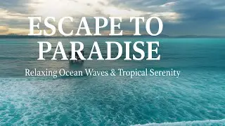 Seabird Sounds & Ocean Waves (3 Hours) &mdash; Relaxing Music with Gentle Gulls #birds #nature #relaxing