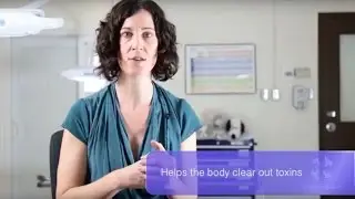 Homotoxicology Explained for Cats and Dogs and How It's Related To Homeopathy | Holistic Vet
