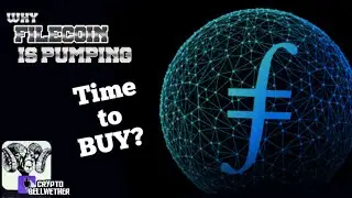 Filecoin (FIL) Crypto is Trending in the News -TIME to BUY? #filecoi̇n #filecoinnewstoday