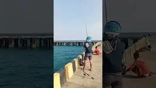 Lemparan Mancing Yang Sangat jauh Di Dermaga laut🎣 #kacongmancing#shorts #vidioviral