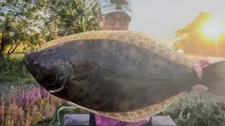 Doormat Fluke Caught From Shore? + How to Properly Net Fluke
