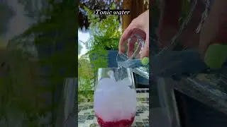 Indigo Tonic Delight: A Refreshing Raspberry Twist | Cocktail Recipe #cocktailhour #indigococktail