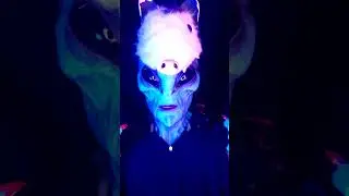 Alien Encounters: A Cool New Hat! #alien #fashion #cat