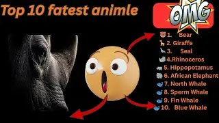 Top 10 Fattest  and haveiest creatures World! Shocking Body Secrets
