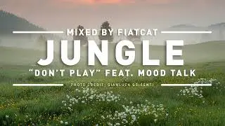 Jungle feat. Mood Talk &ndash; Don't Play (Club Mix by FiatCat) 118 bpm