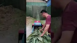 Multipurpose Machine Price Features Toka Kutti Machin