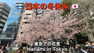Hanami in Tokyo | 東京での花見 🌸 Searching for cherry blossoms around Tokyo! 🌸